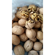 Top selling cheap delicious wholesale walnuts without shell for sale